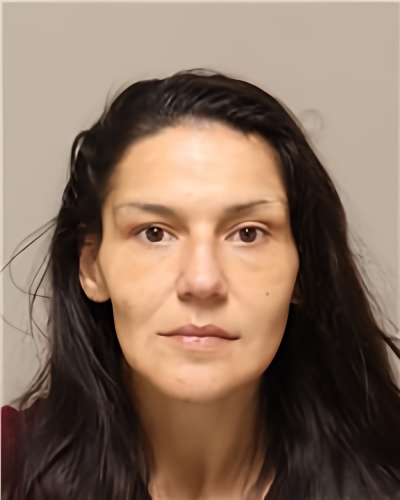 Mugshot of NICOLE DAWN SCHMIDT