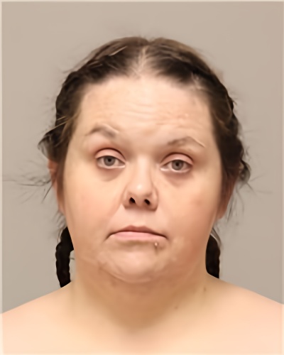 Mugshot of NICHOLE LYNN THEIS