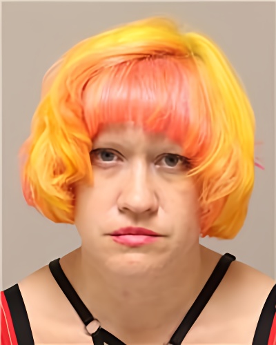 Mugshot of ERIN DEANN STEARNS