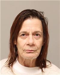 Mugshot of JOYCE MARIE LARSON
