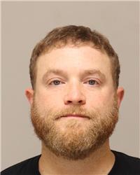Mugshot of DAVID LEE RADZIWILL