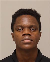 Mugshot of ELISEE MADIMBA ILUNGA