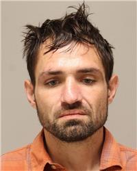 Mugshot of JON MICHAEL DAHL