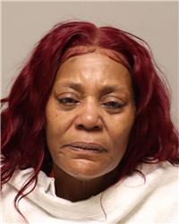 Mugshot of LANA RITA BURNS