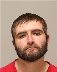 Mugshot of COBY LEE DEOSE