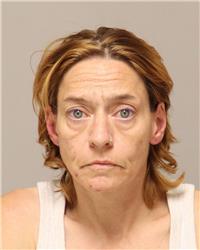 Mugshot of DALLAS MICHELE FISCHER