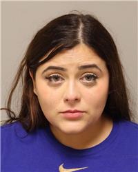 Mugshot of BRIANNA LISSETTE LITTLE