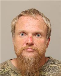 Mugshot of RYAN ROBERT PARKIN