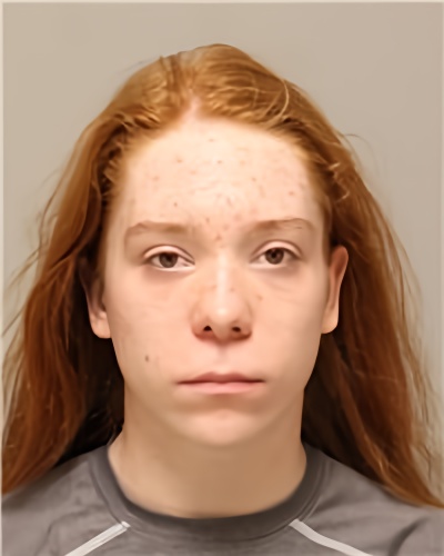 Mugshot of WYATT DAVID HOLMES