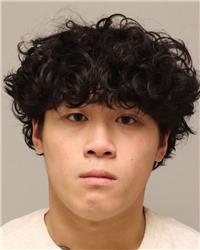 Mugshot of JOHNNY VY LEE