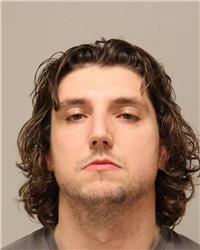Mugshot of ARMIN MAHMUTOVIC