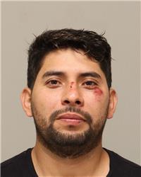Mugshot of DIEGO A SILVA MEDRANO