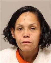 Mugshot of LESLIE ANN GOODMAN
