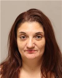 Mugshot of DANIELLE RENEA THIES