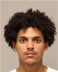 Mugshot of SEAN DAVID CHAPEK
