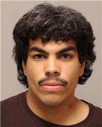 Mugshot of COLE RYANN FOWLER