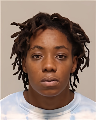 Mugshot of DANIELLE LAVETTE WILLIAMS