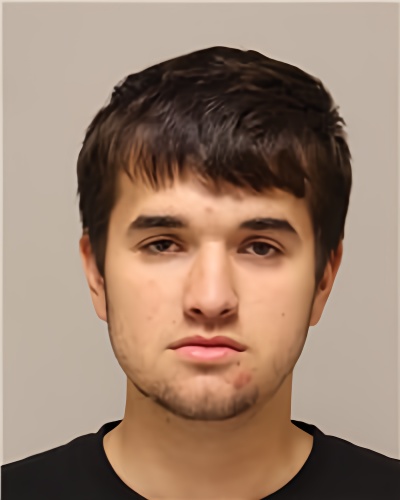 Mugshot of ANDREY JR VLASYUK
