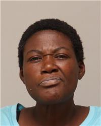 Mugshot of ELIZABETH MALYNNE EVANS