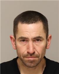 Mugshot of BRANDON MICHAEL CARRELL