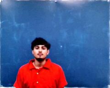 Mugshot of Henry Fuertes