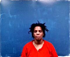 Mugshot of SHALANDTA LEE HUMBERT