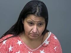 Mugshot of DEBRA L SISNEY