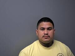Mugshot of LUIS D VEGA