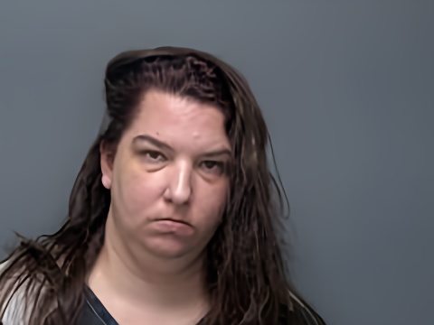 Mugshot of VANESSA R HENSCHEL