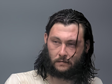 Mugshot of DILLON P PAGE
