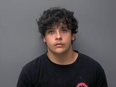 Mugshot of GARY W STERLING II