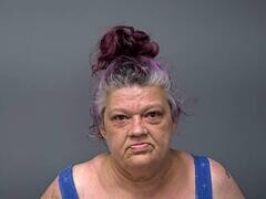 Mugshot of LYNN M HARRIS