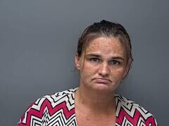 Mugshot of CHERYL L MCMULLEN
