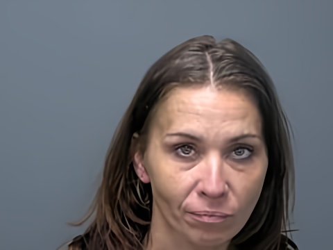 Mugshot of DEBORAH M SMITH