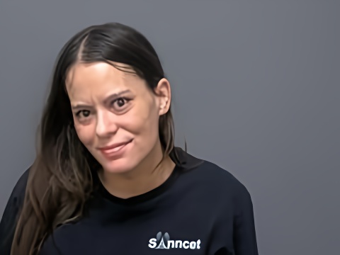 Mugshot of ERIKA A HOLT