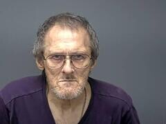 Mugshot of RONNIE H WOMACK