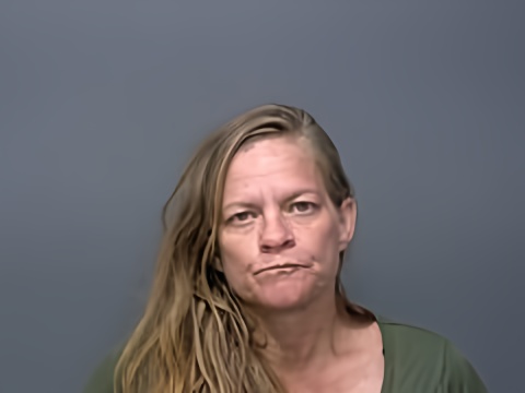 Mugshot of ALISHA R MILLER