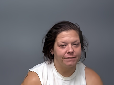 Mugshot of KAYLA N ANDERSON