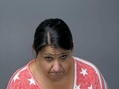 Mugshot of DEBRA L SISNEY