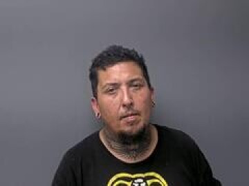Mugshot of RANDY E WEBSTER