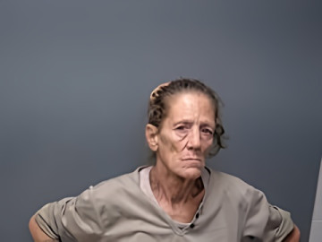 Mugshot of LYNDA L WOODRUFF