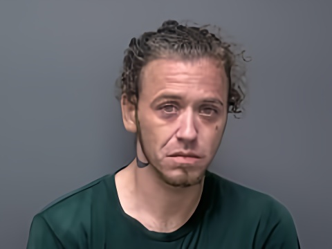 Mugshot of MICHAEL D CHESTER