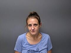 Mugshot of JESSICA M DILLARD