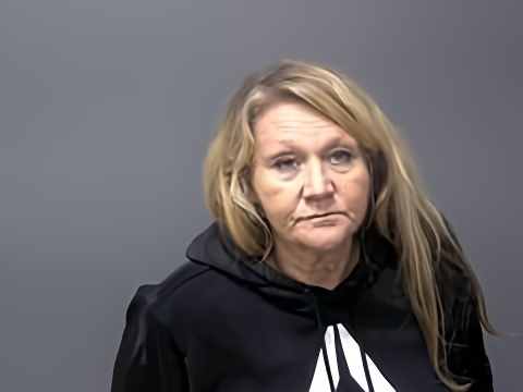 Mugshot of NANCY R WILLETT