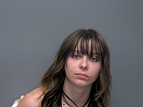 Mugshot of ALEXANDRA H VREDENBURG