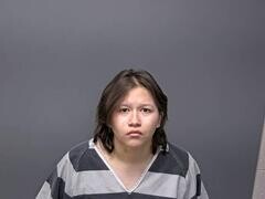 Mugshot of SERENEDY F NIETO