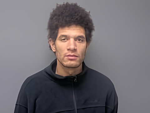 Mugshot of GABERIAL J MCCASLAND