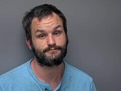 Mugshot of SHAWN H LYONS
