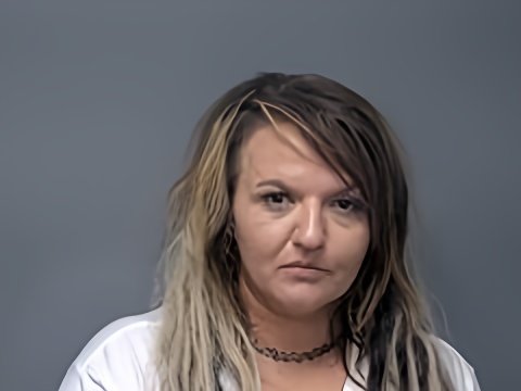 Mugshot of SIERRA E CAMPBELL