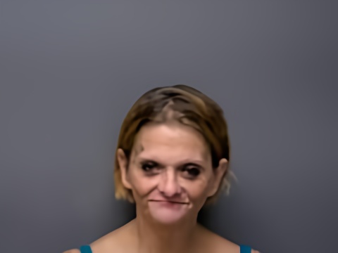 Mugshot of APRIL L COX